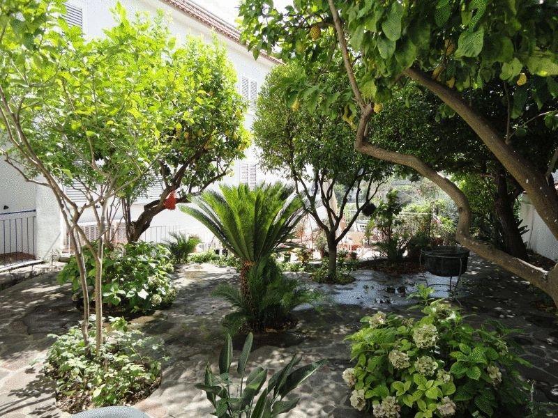 Casamicciola Terme Hotel Candia מראה חיצוני תמונה